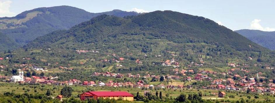 PRIMĂRIA TÂRŞOLŢ