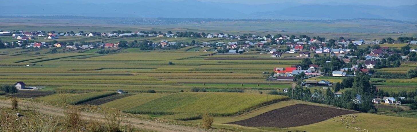 PRIMĂRIA PĂTRĂUŢI