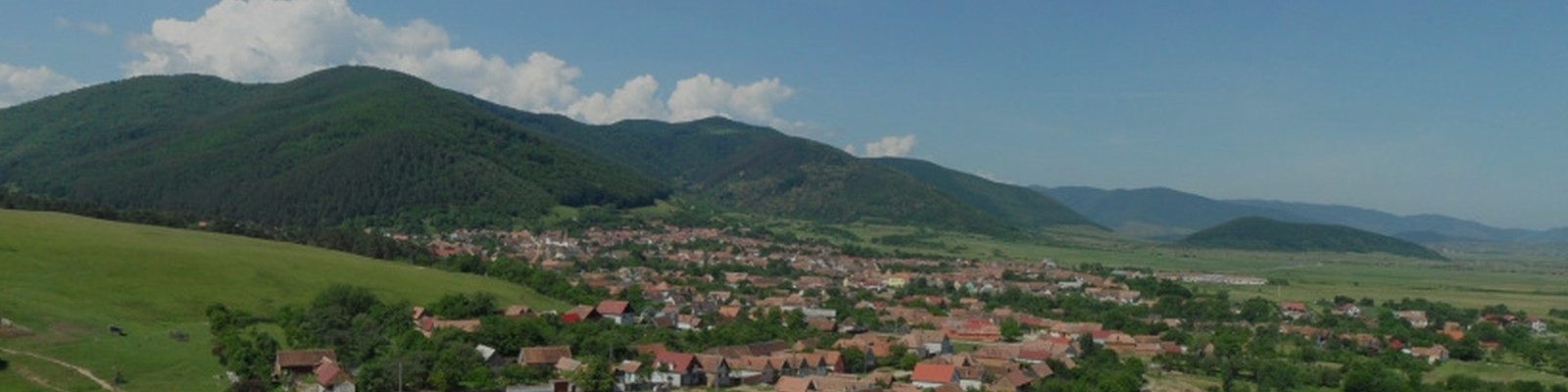 PRIMĂRIA POPLACA