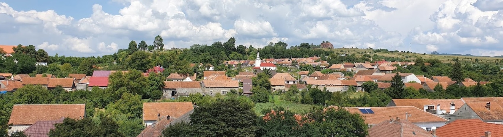 PRIMĂRIA RACOŞ