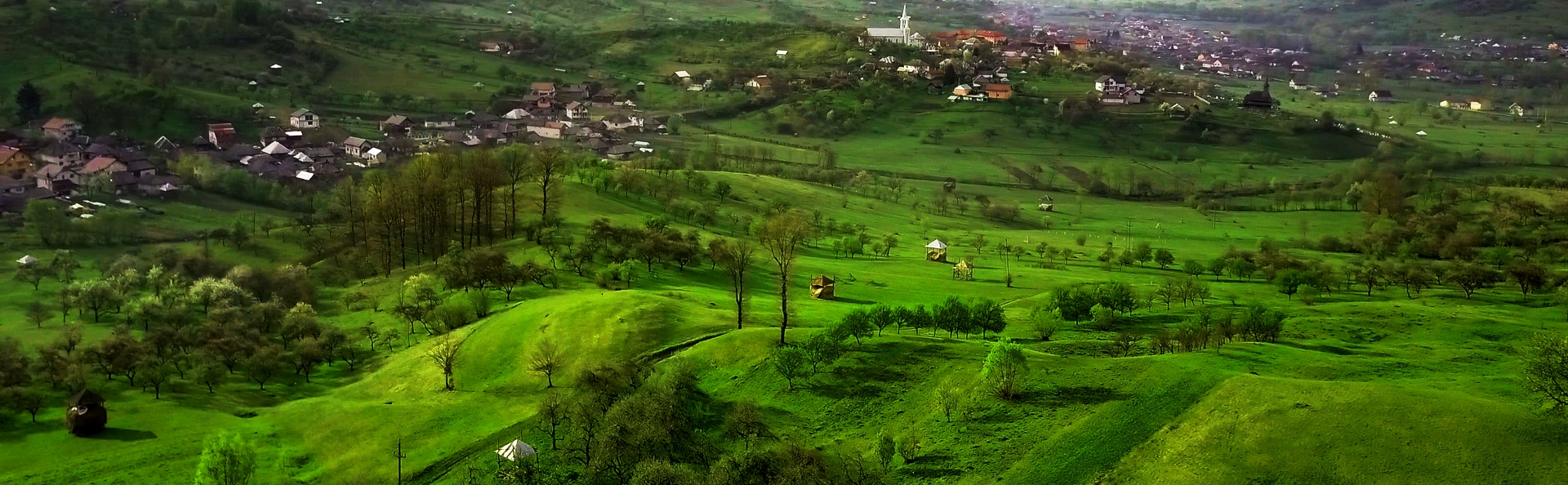 PRIMĂRIA RONA DE JOS
