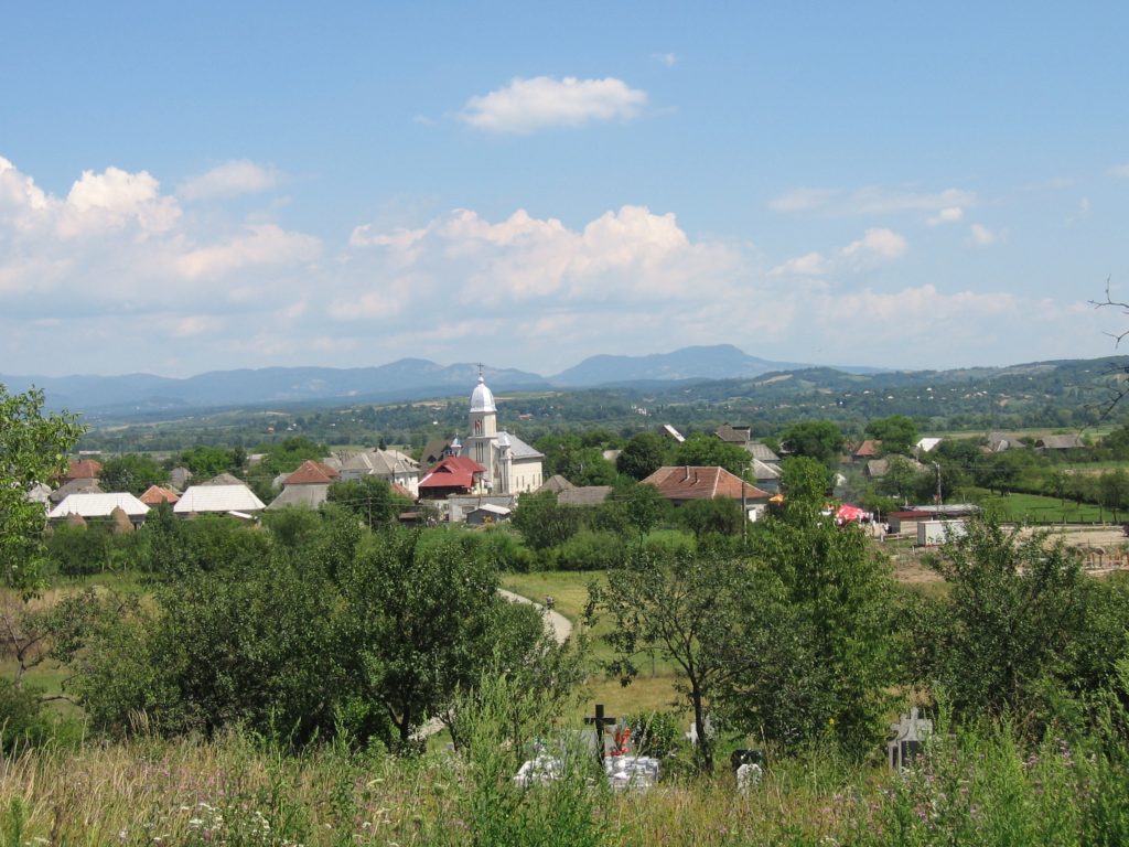 PRIMĂRIA SĂCĂLĂŞENI