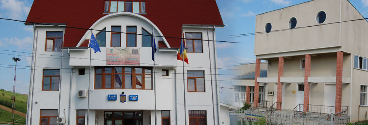 PRIMĂRIA DRAGOMIREŞTI