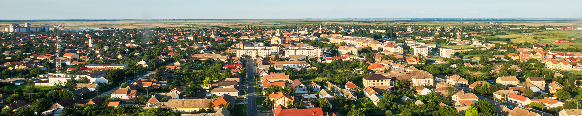 PRIMĂRIA SÂNNICOLAU MARE