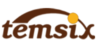 TEMSIX SRL