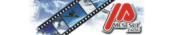 MESEŞUL SOCIETATE COOPERATIVĂ MEȘTEȘUGĂREASCĂ