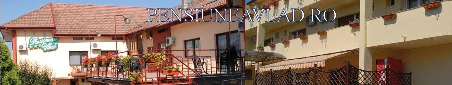 PENSIUNEA VLAD SRL