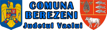 PRIMĂRIA BEREZENI