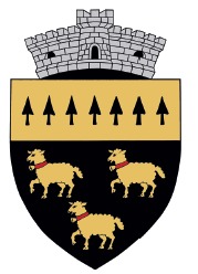 PRIMĂRIA NEGRILEŞTI