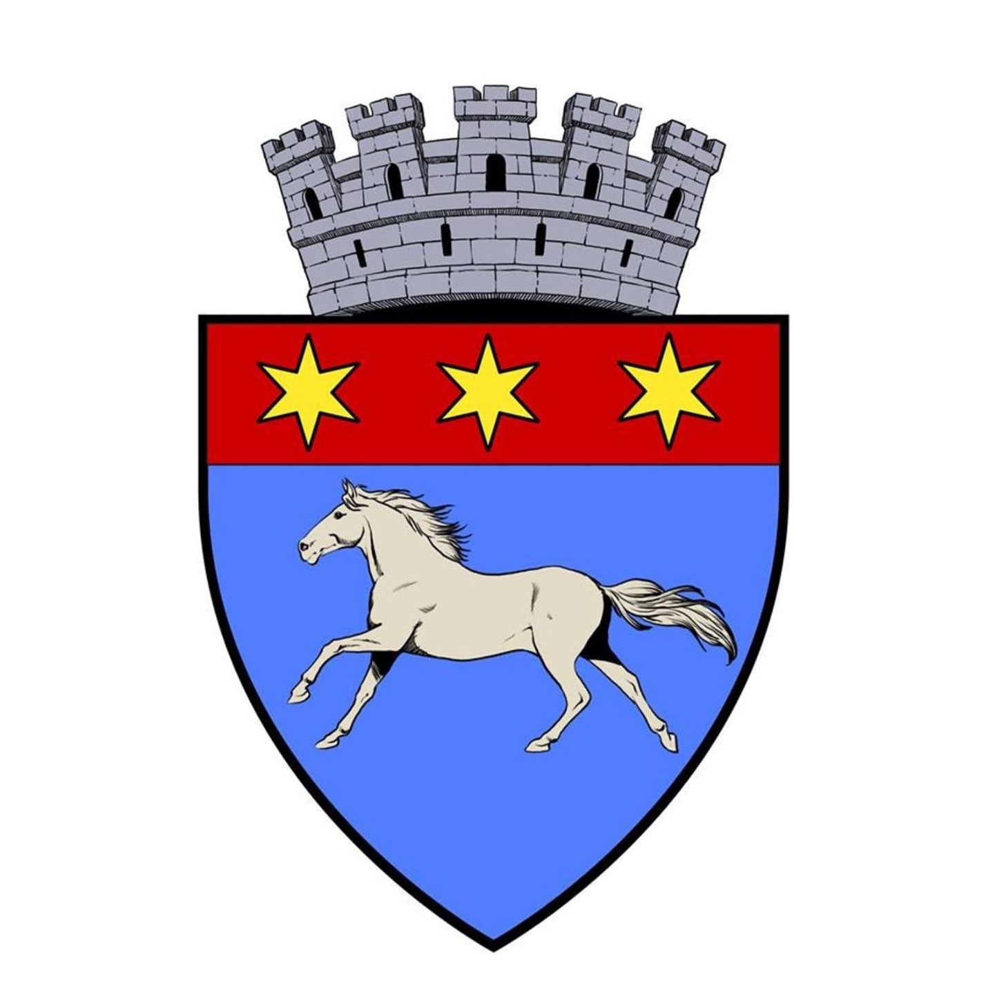 PRIMĂRIA RÂMNICU SĂRAT