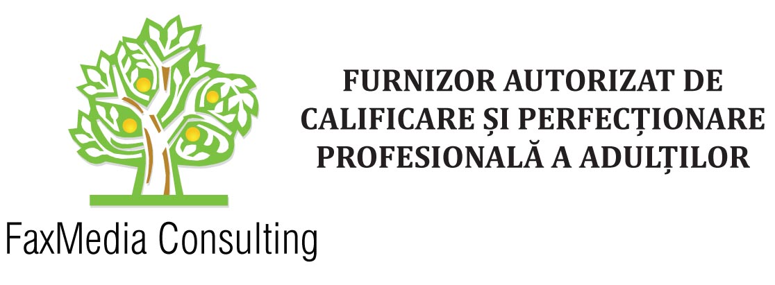 FAXMEDIA CONSULTING SRL