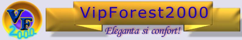 VIP FOREST 2000 SRL