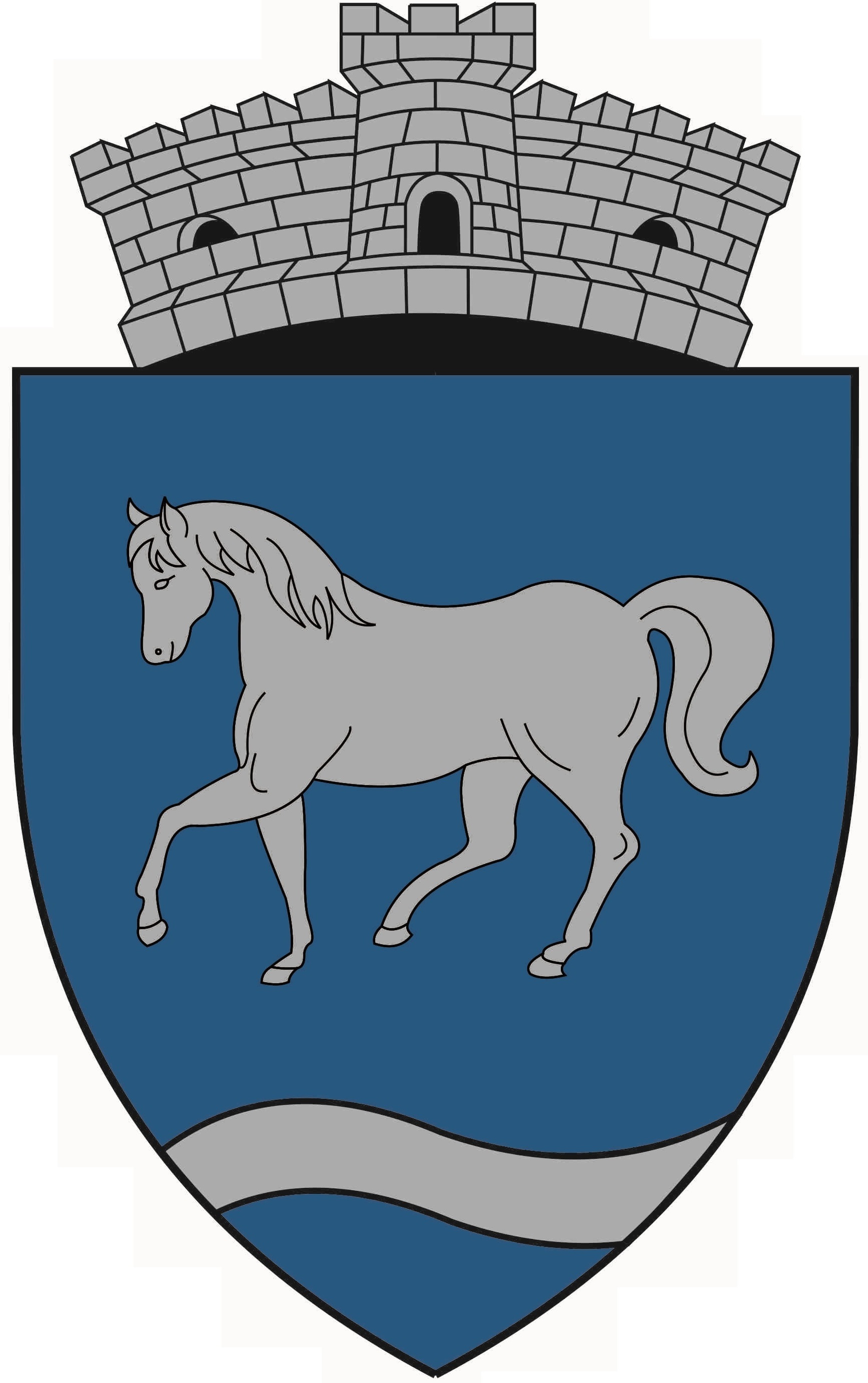 PRIMĂRIA RÂMNICELU