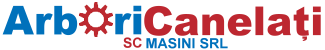 MAŞINI SRL