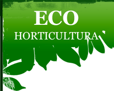 ECO HORTICULTURA SRL