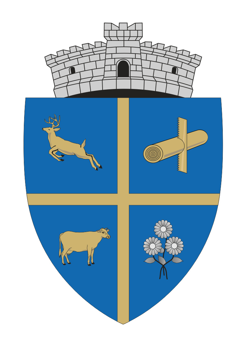 PRIMĂRIA LUNCA ILVEI