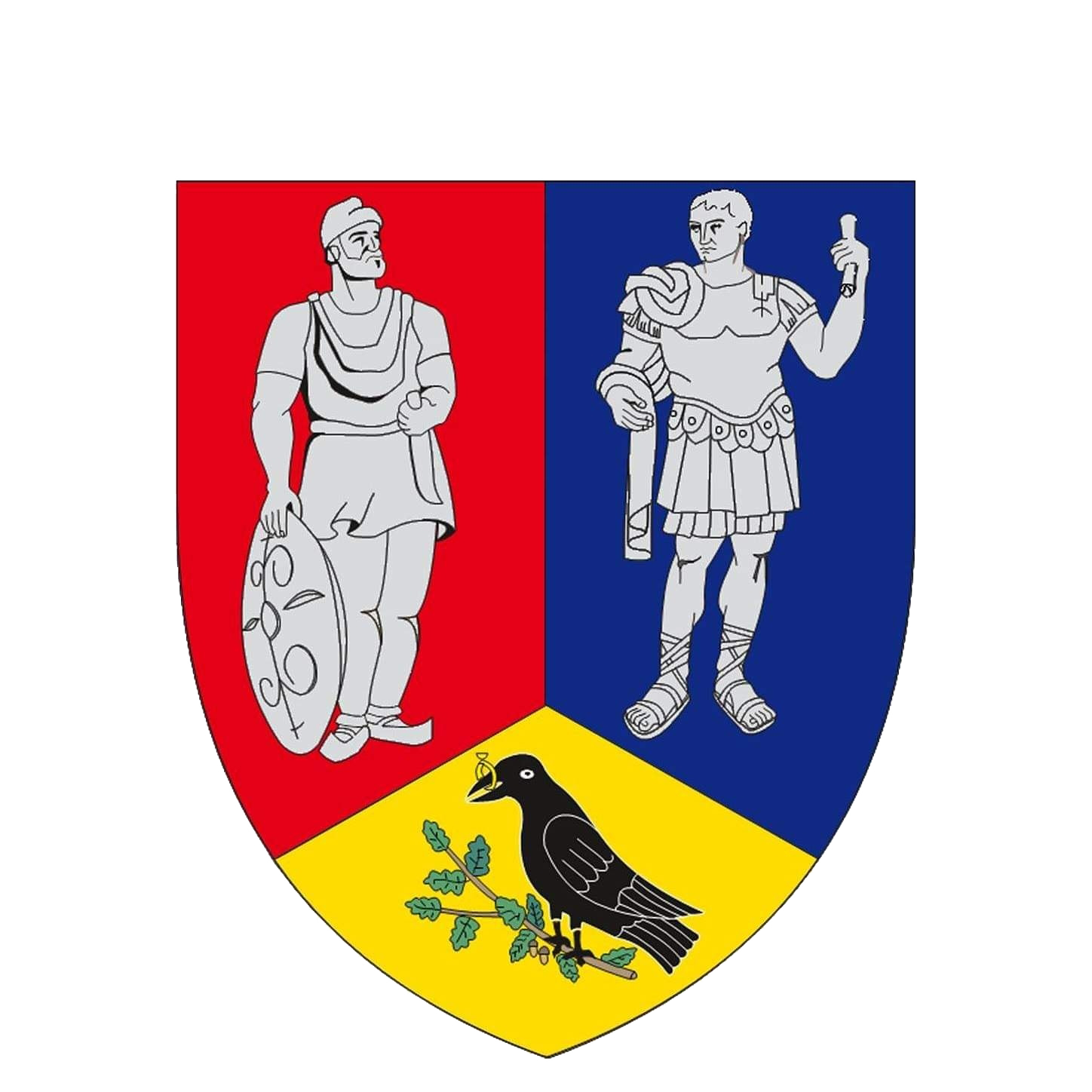 Consiliul Judetean Hunedoara