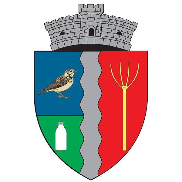 PRIMĂRIA VLĂSINEŞTI