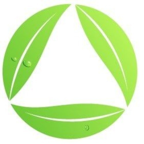 GREEN INCORPORATED SRL