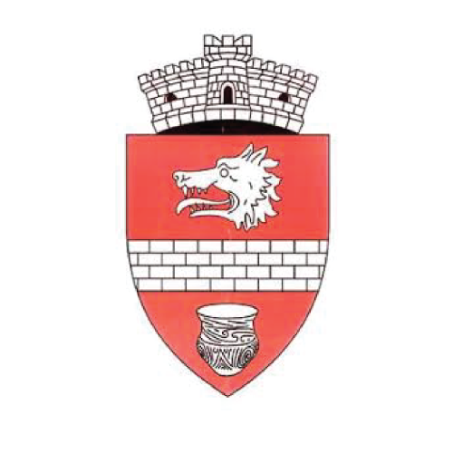 PRIMĂRIA VALEA LUPULUI