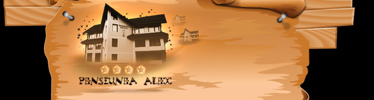 DACOTURISM SRL RESTAURANT ŞURA DACILOR