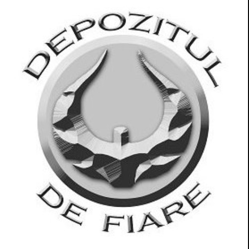 DEPOZITUL DE FIARE SRL
