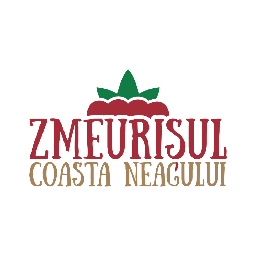 Zmeurișul Cozmești