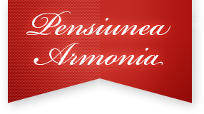 DOCOLOR SERVCOM SRL PENSIUNEA ARMONIA