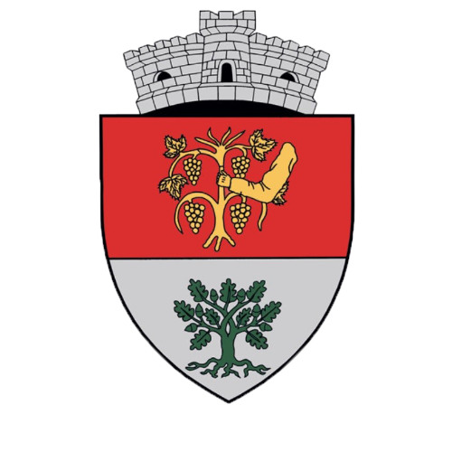 PRIMĂRIA ORAŞU NOU