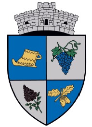 PRIMĂRIA CERNĂTEŞTI