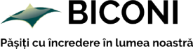BICONI SRL