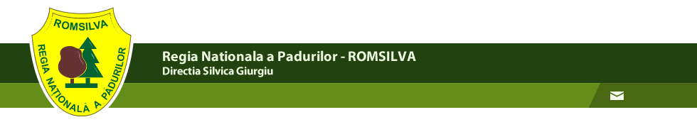 DIRECŢIA SILVICĂ GIURGIU