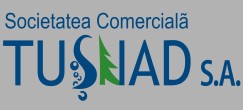 TUŞNAD SA HOTEL TUŞNAD HOTEL OZONE
