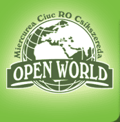 OPEN WORLD SRL