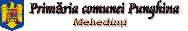 PRIMĂRIA PUNGHINA