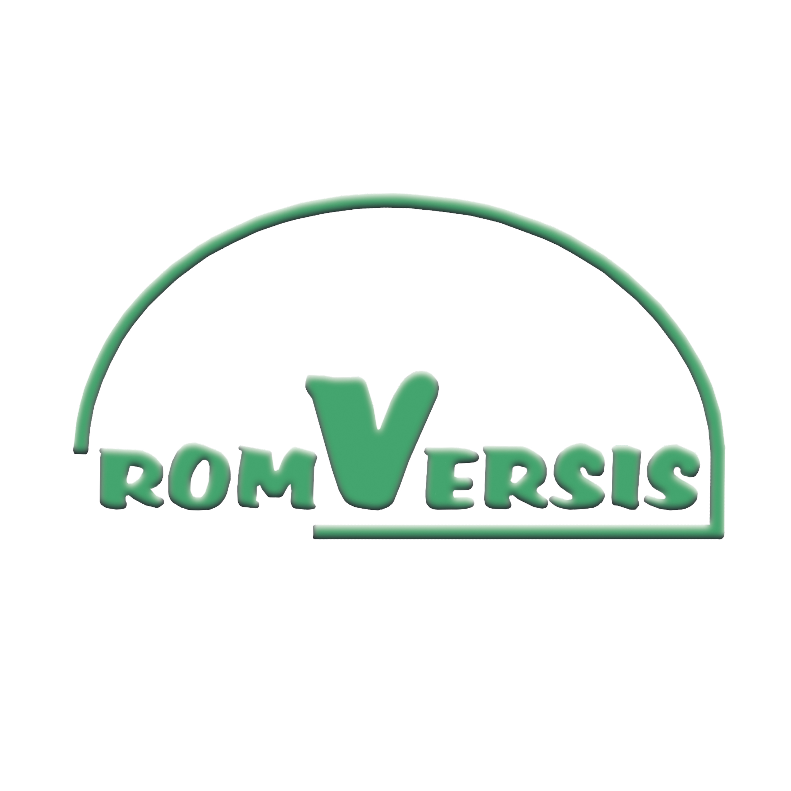 ROMVERSIS TOP SRL