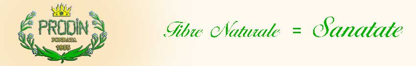 PRODIN SA