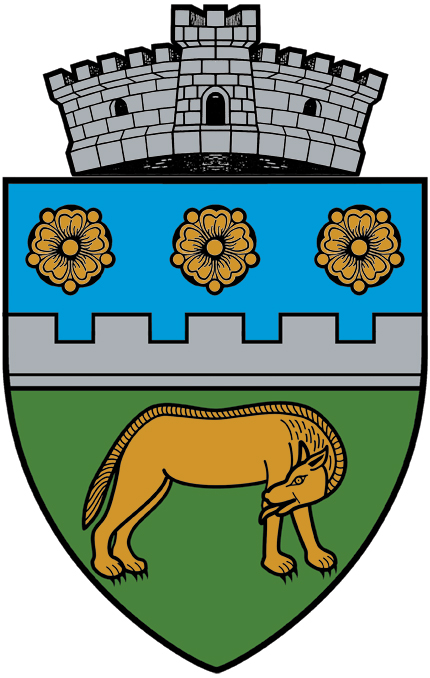 PRIMĂRIA BRÂNCOVENEŞTI