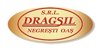 DRAGSIL SRL