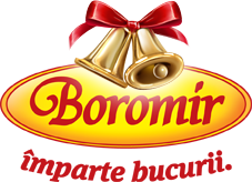 BOROMIR IND SRL