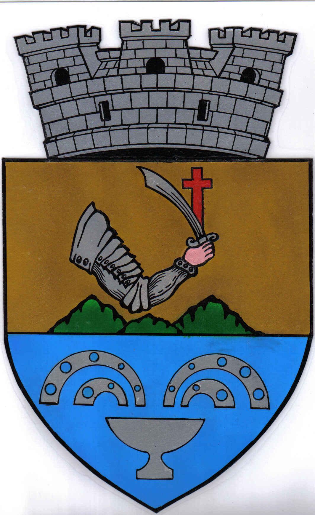 PRIMĂRIA BĂILE OLĂNEŞTI