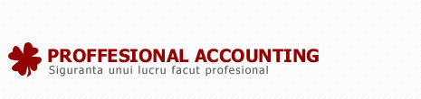 PROFFESIONAL ACCOUNTING SRL