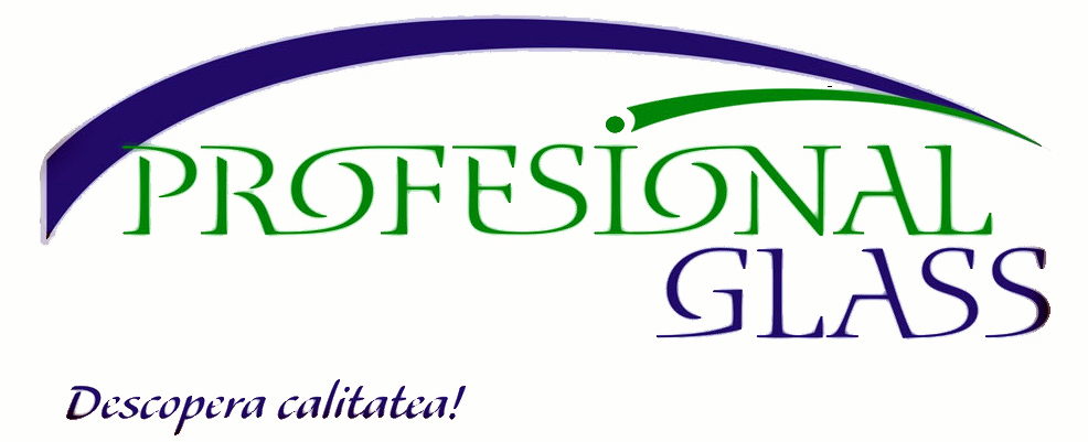 PROFESIONAL GLASS SRL