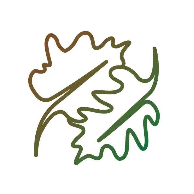 PARCHET PE VIATA SRL