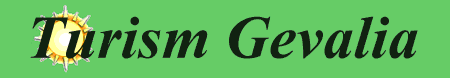 TURISM GEVALIA 2008 SRL