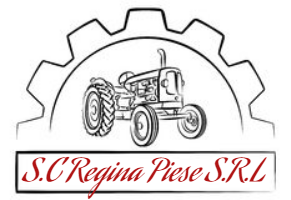 REGINA PIESE SRL