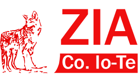 ZIACO IO-TE SRL