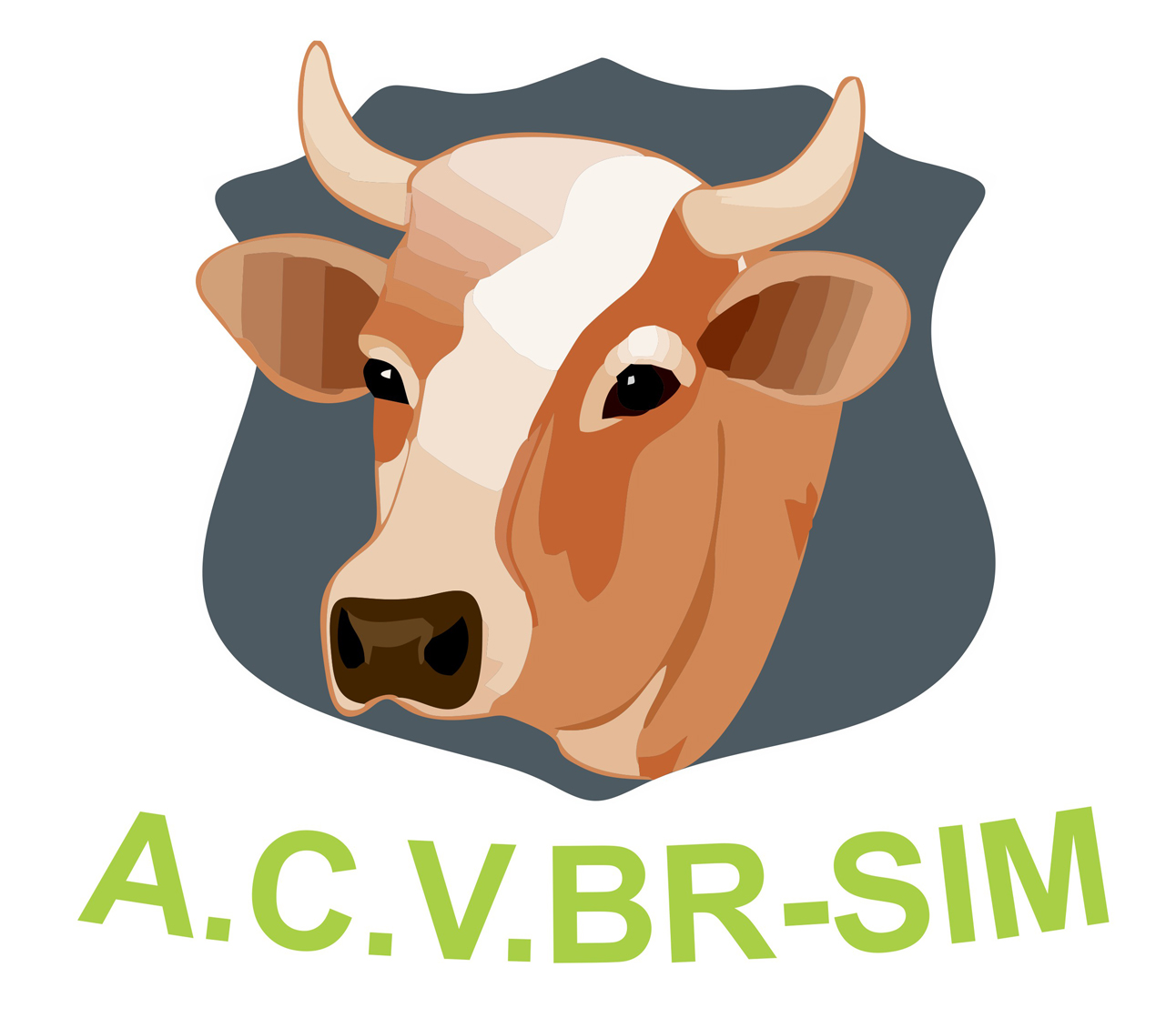 ASOCIAȚIA CRESCĂTORILOR DE VACI BĂLȚATĂ ROMÂNEASCĂ TIP SIMMENTAL