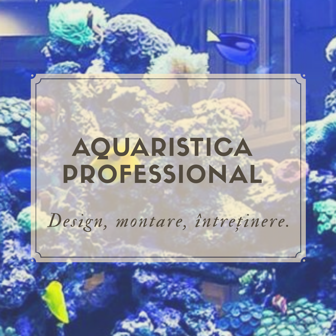 AQUARISTICA PROFESIONAL SRL