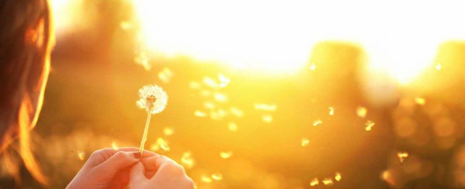 CABINET INDIVIDUAL DE PSIHOLOGIE MÁRK LINDA MÁRIA